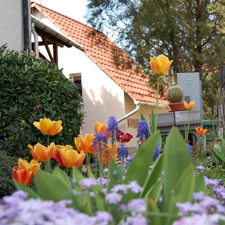 Maya Guesthouse Eger Exterior photo